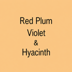 A flat warm peach background with centered black text reading 'Red Plum Violet & Hyacinth'.